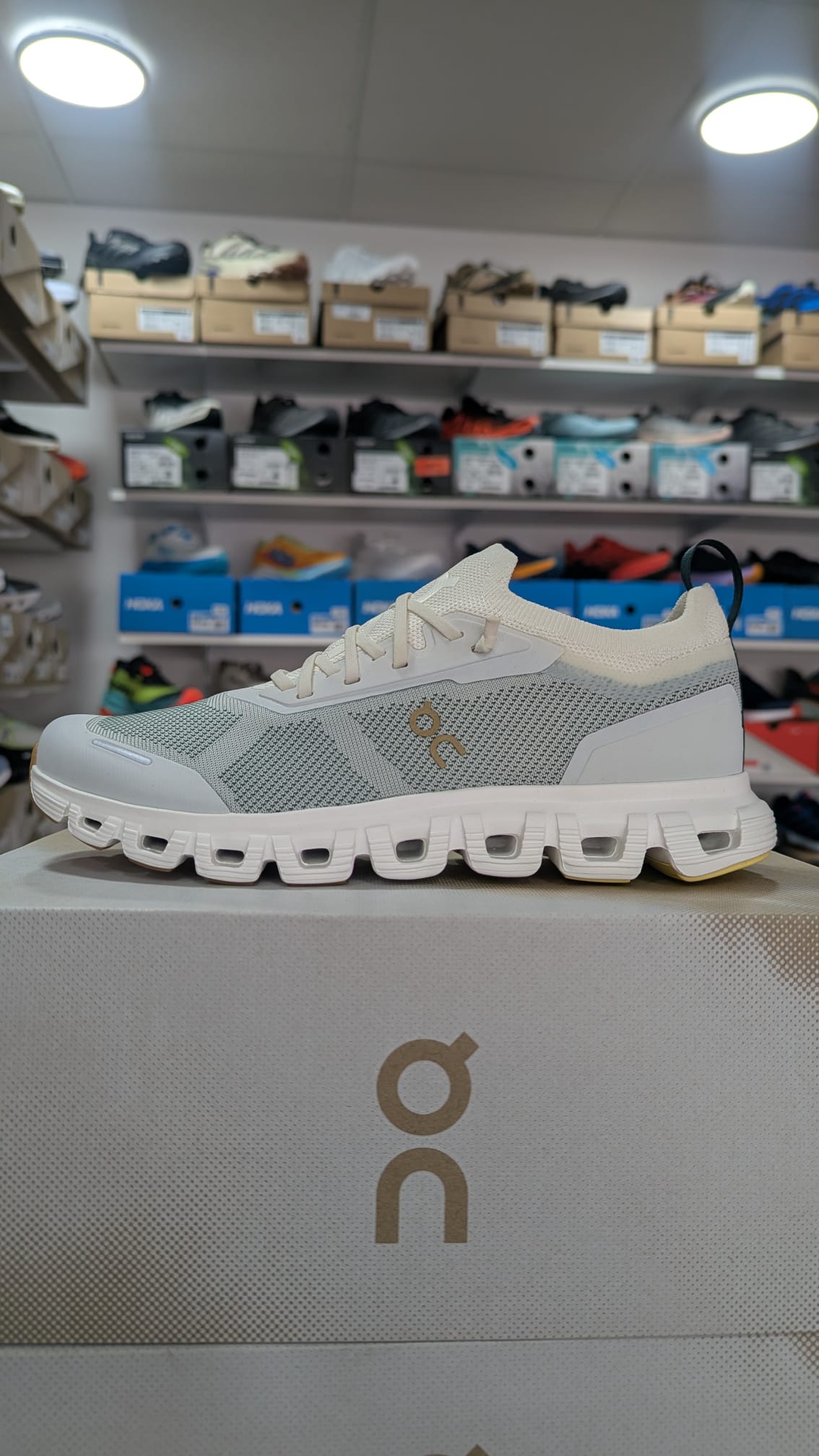 On Running Cloud 6 Versa Damen Laufschuhe