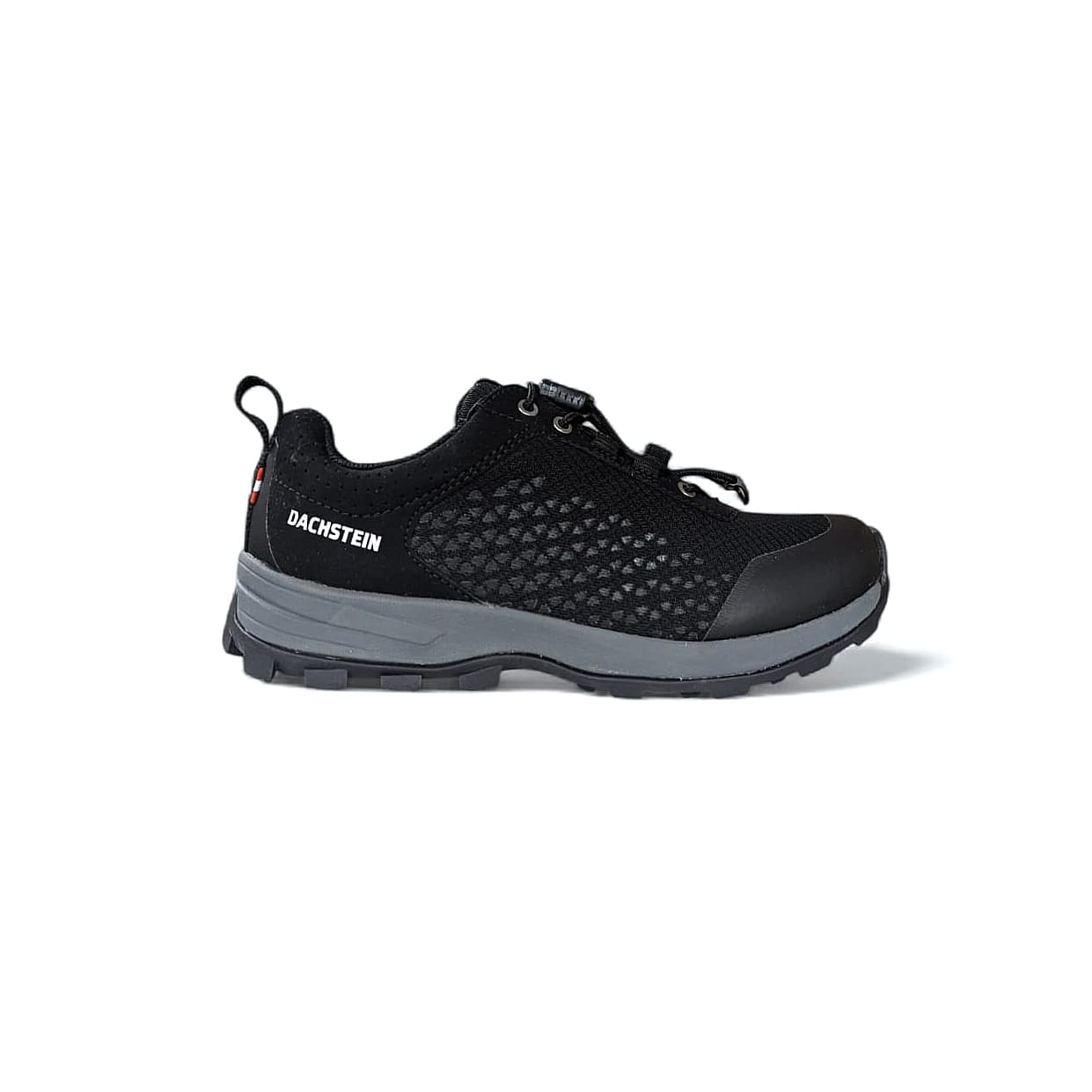 Dachstein Delta Rise Wmn Gtx Damen Wanderschuhe