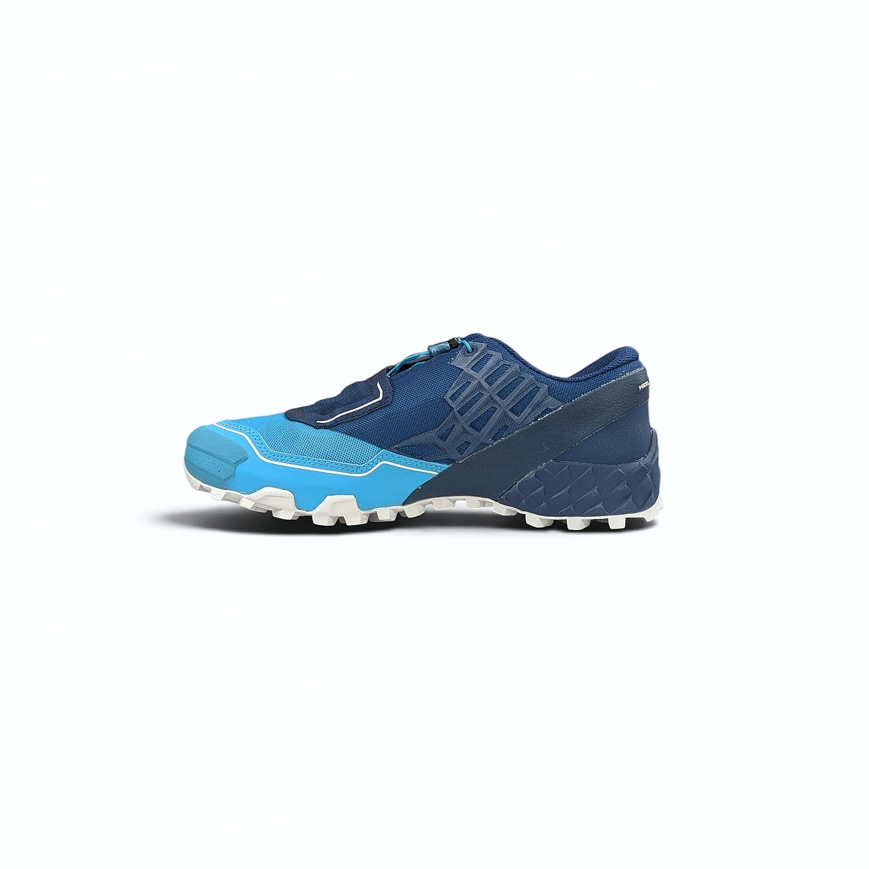 Psedidon Silvretta Dynafit Feline SL W Damen Trailrunningschuhe