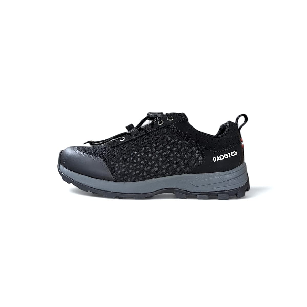 Dachstein Delta Rise Wmn Gtx Damen Wanderschuhe